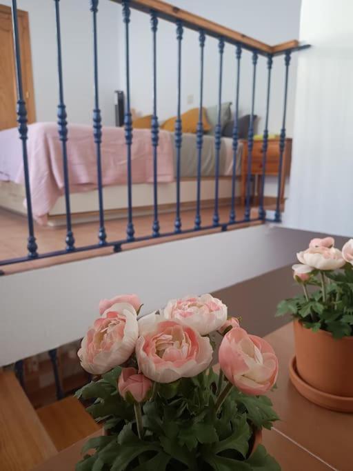 Casa Heli - Ruim Appartement Met Dakterras In Polopos Luaran gambar
